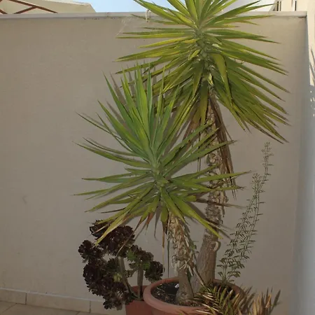 By The Sea Ubli, Lastovo - 8355 *