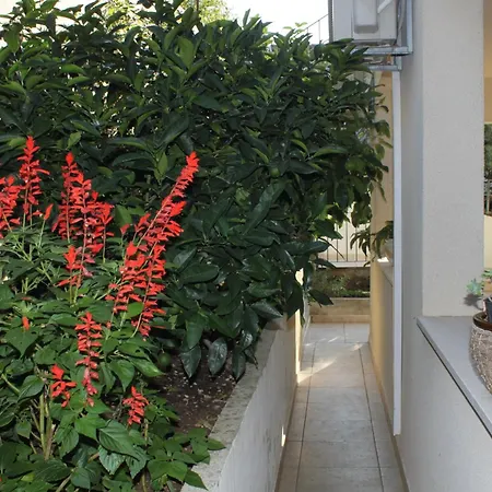 By The Sea Ubli, Lastovo - 8355 Apartman Ubli