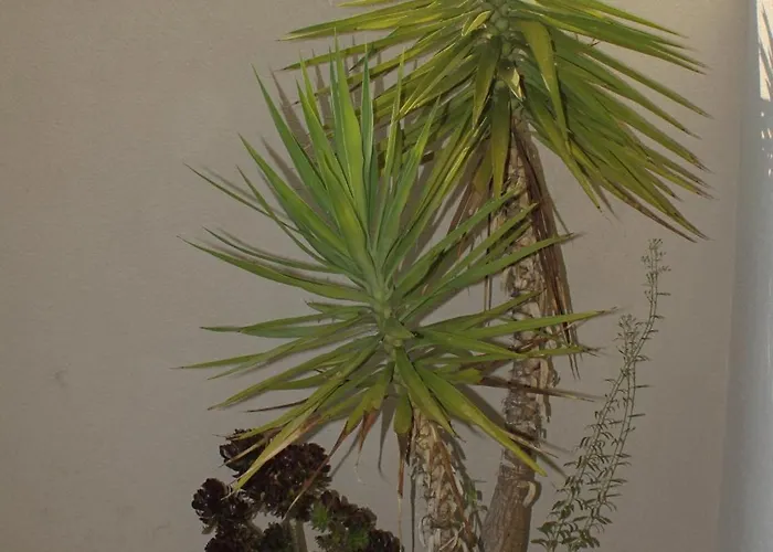 By The Sea Ubli, Lastovo - 8355 *