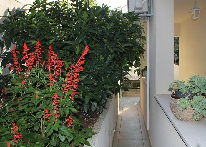 By The Sea Ubli, Lastovo - 8355 Apartman Ubli